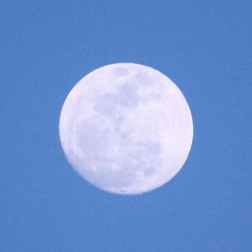 カターレ富山の応援頑張ってます。