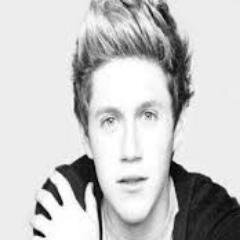 Amo a banda One Direction principalmente o Niall 3