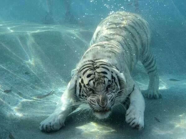 craigc12345's profile picture. 