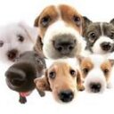 Hailey Couch - @Haileyrheaa - Twitter