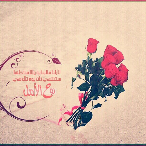 دوروا خير فيني واذخروه لـ غيابي ولا فقدتوا حضوري اذكروني بخير ♡ ~ ﱠ