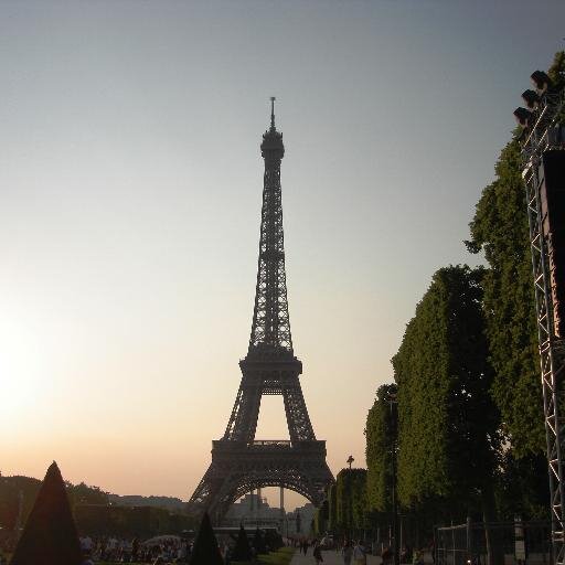 susieq011's profile picture. 