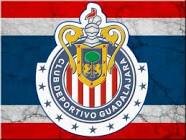 danher99's profile picture. 