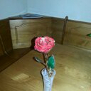 Caryn McDaniel - @CmCaryn - Twitter