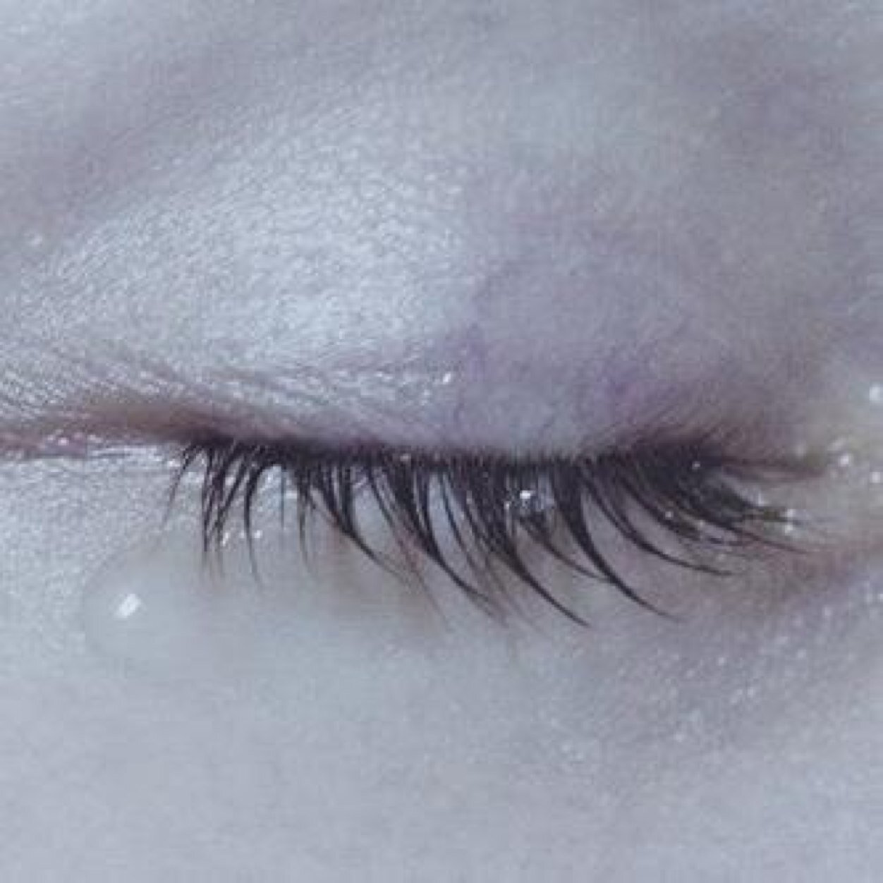 anteIlophobia's profile picture. 