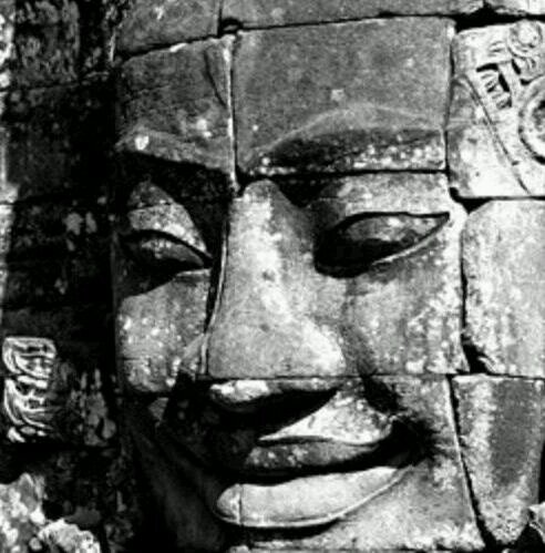 mideokdo833's profile picture. 