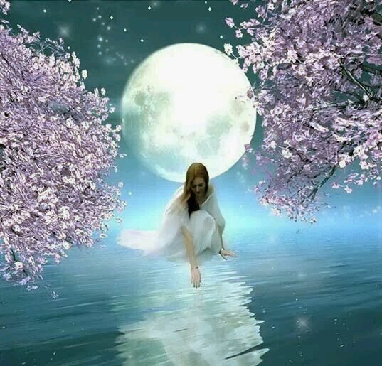 faisalhaider333's profile picture. 