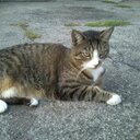 alan  cochran - @alancochran2 - Twitter