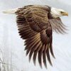 Такой мороз, что коль убьют, то пусть из огнестрельного оружья. (Иосиф Бродский)