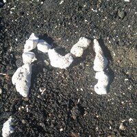 Mia Consalvo (@miac) 's Twitter Profile