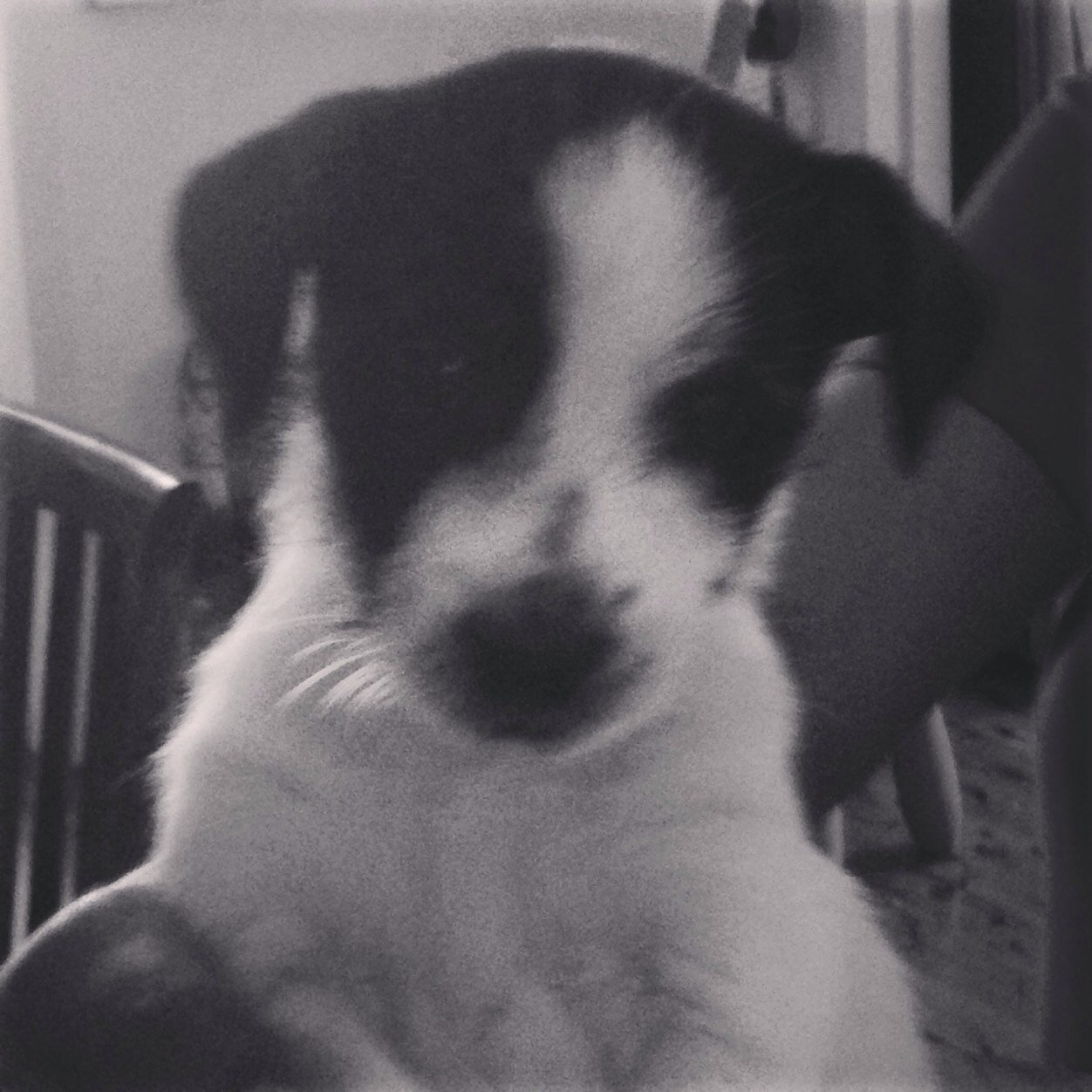 PrimSiao's profile picture. 