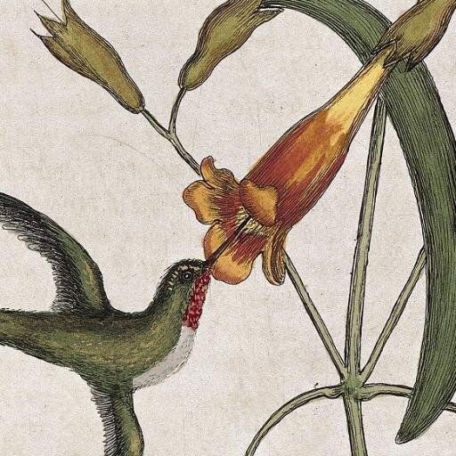 Health Policy Data  Profile