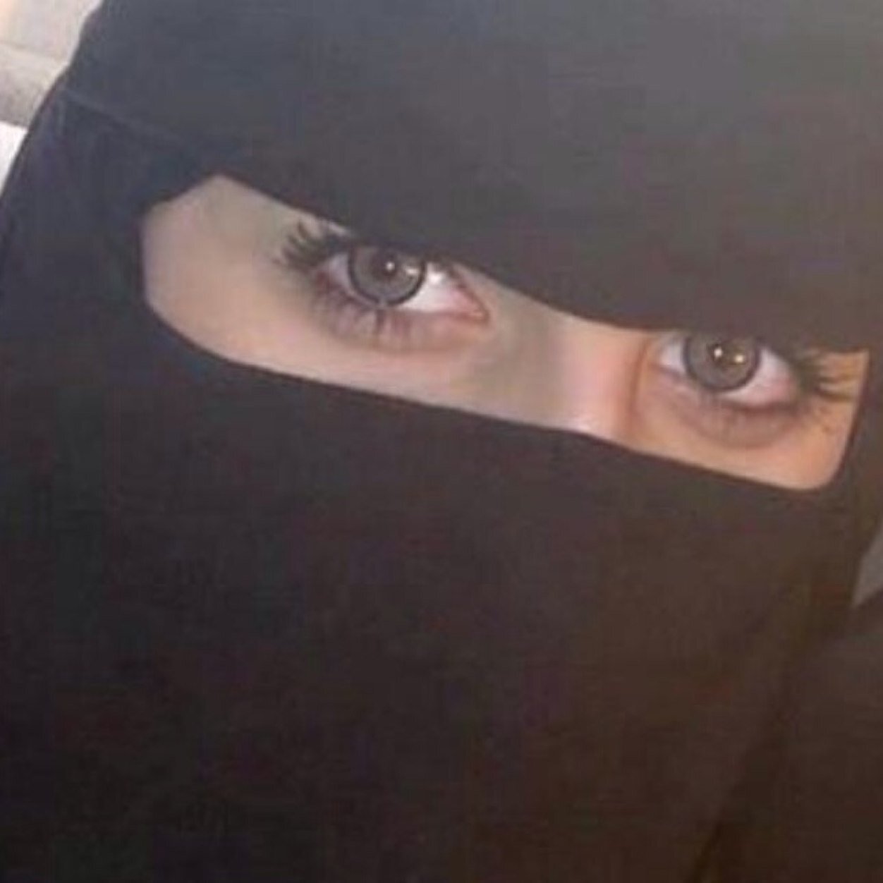 فلومي =فلو باك تحذفني=احذفك رتويت ل 5/5 من مفضلاتي واعطيني تم بالخاص وابشرو برتويت لكم ..،مسجات فاضيه ع الخاص مااريدها -_-