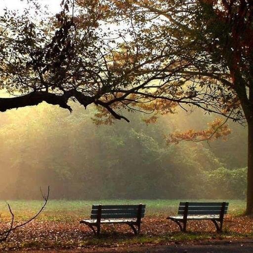 ksatriaRX's profile picture. Penikmat dan Pecinta Keindahan dan kedamaian alam