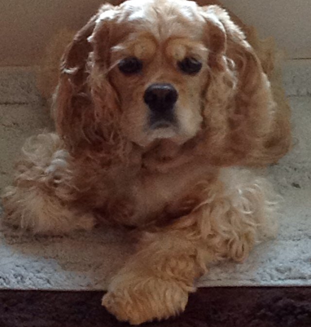 dfreeman710's profile picture. 