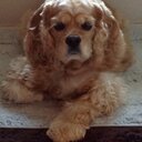 Demetria Freeman - @dfreeman710 - Twitter