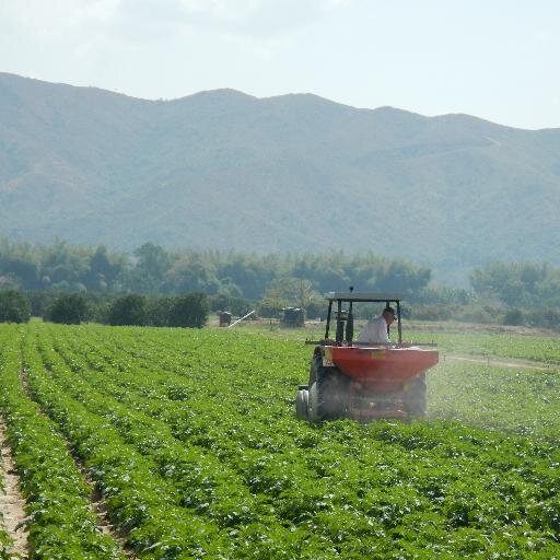 agrofertilvnz's profile picture. distribuidores de insumos agricolas