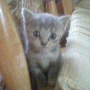 Rachel Hardwick - @redneckdevil37 - Twitter