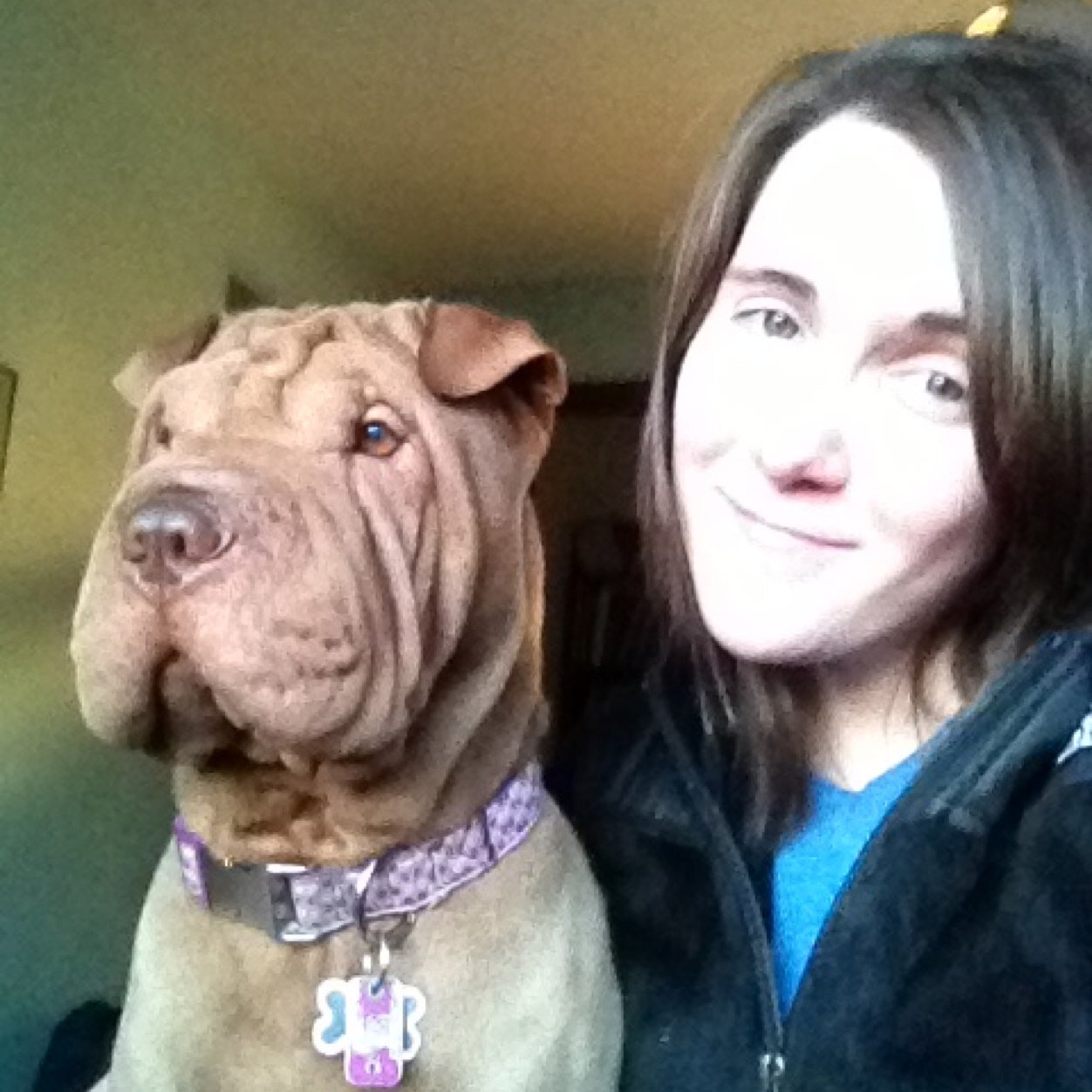 lizard_718's profile picture. ✡💙🇮🇱 

‏זה הזמן שלנו