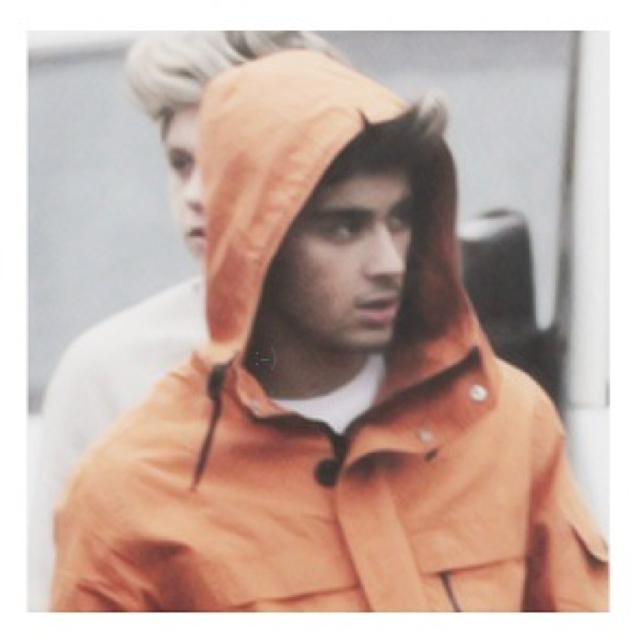 zayn malik|20years old|single