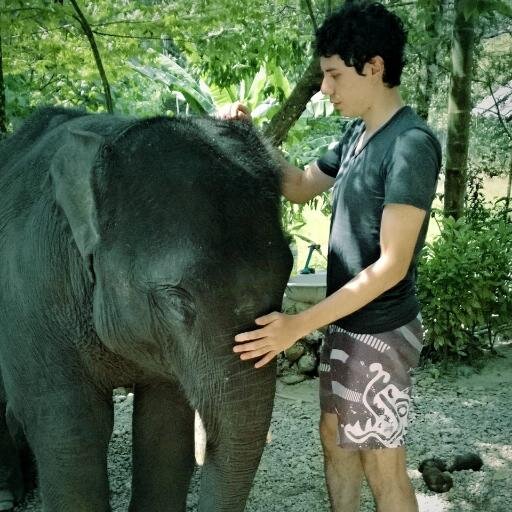 elmoeduardo's profile picture. In the eternal quest of finding my one life stand