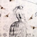 Jennifer Angus - @InsectGurl - Twitter