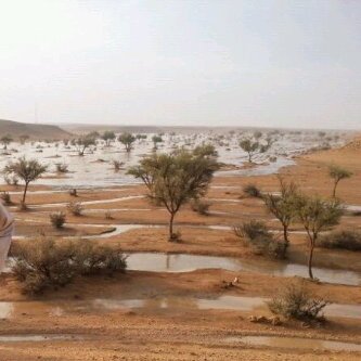 38_abadi's profile picture. 