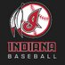 Indiana Baseball (@ihs_baseball) Twitter profile photo Indiana Baseball (@ihs_baseball) Twitter profile photo