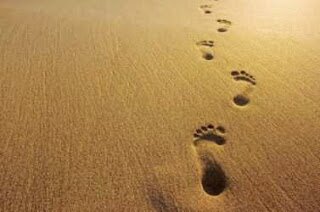 JejakPerubahanQ's profile picture. ku jadikan jejak2 perjalananku menjadi jejak2 penuh makna