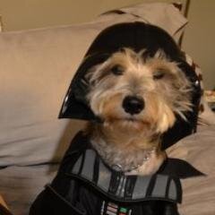 rhodester01's profile picture. Mother, Wife, Humanitarian. Views are my own.