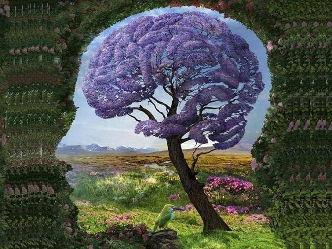 AllenWoo845's profile picture. 研究社会运动，研究宪政民主，积蓄公民力量，筹备水到渠成！