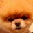 FlappyRP's profile image