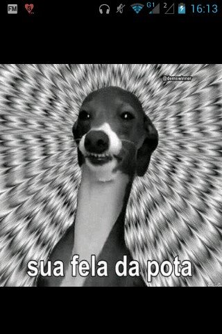 Mais vale um pássaro na mão que tanto bate até que fura...