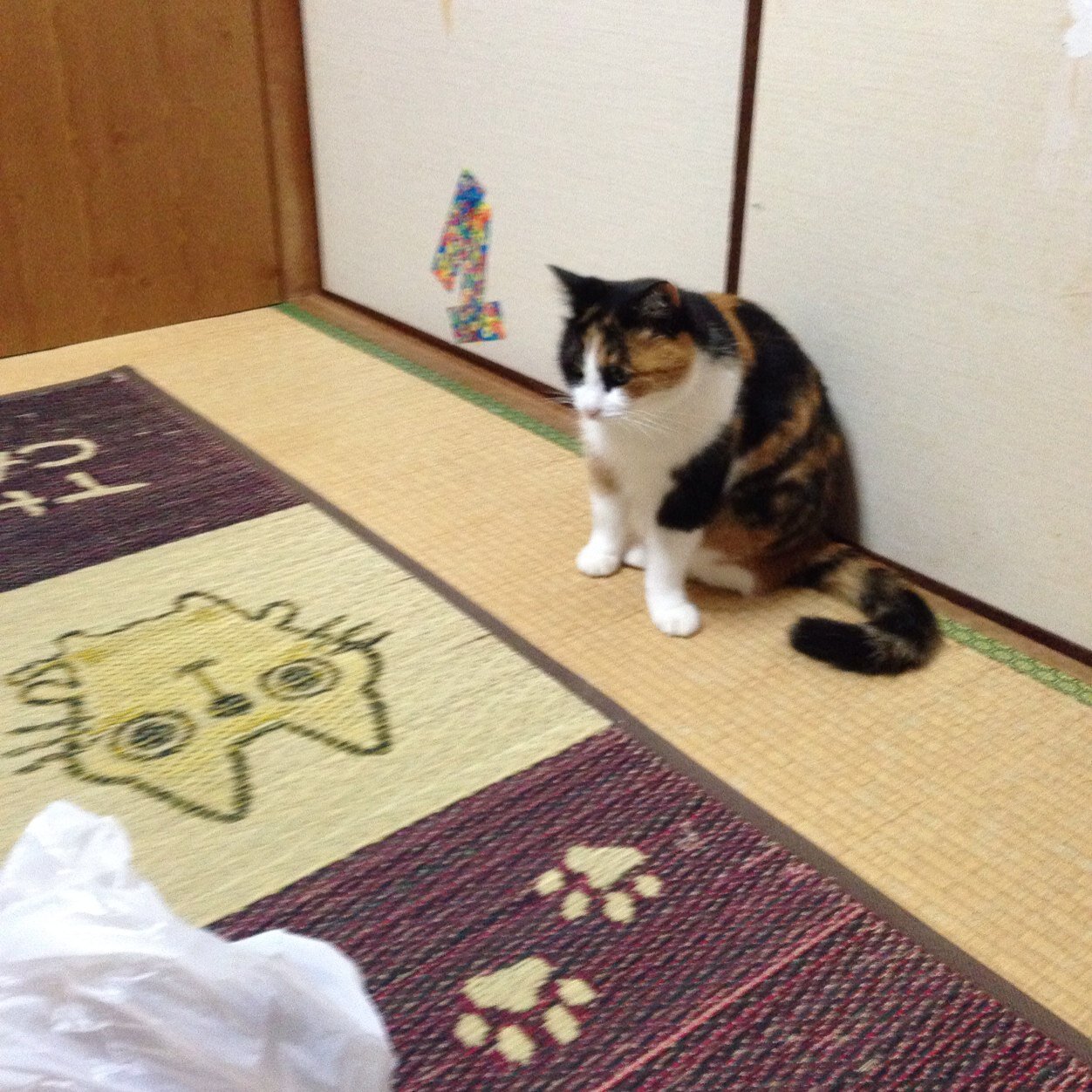 両城中→宮高3年→。
