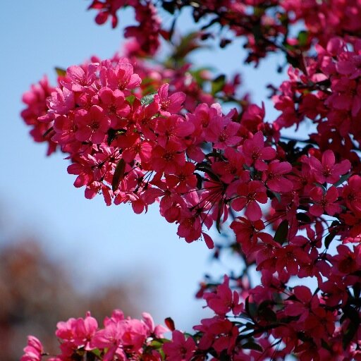 Enjoying each day, life is to short.