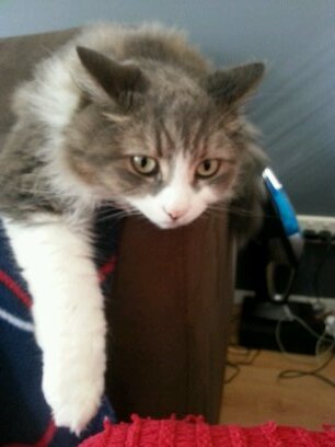 razz_j's profile picture. 