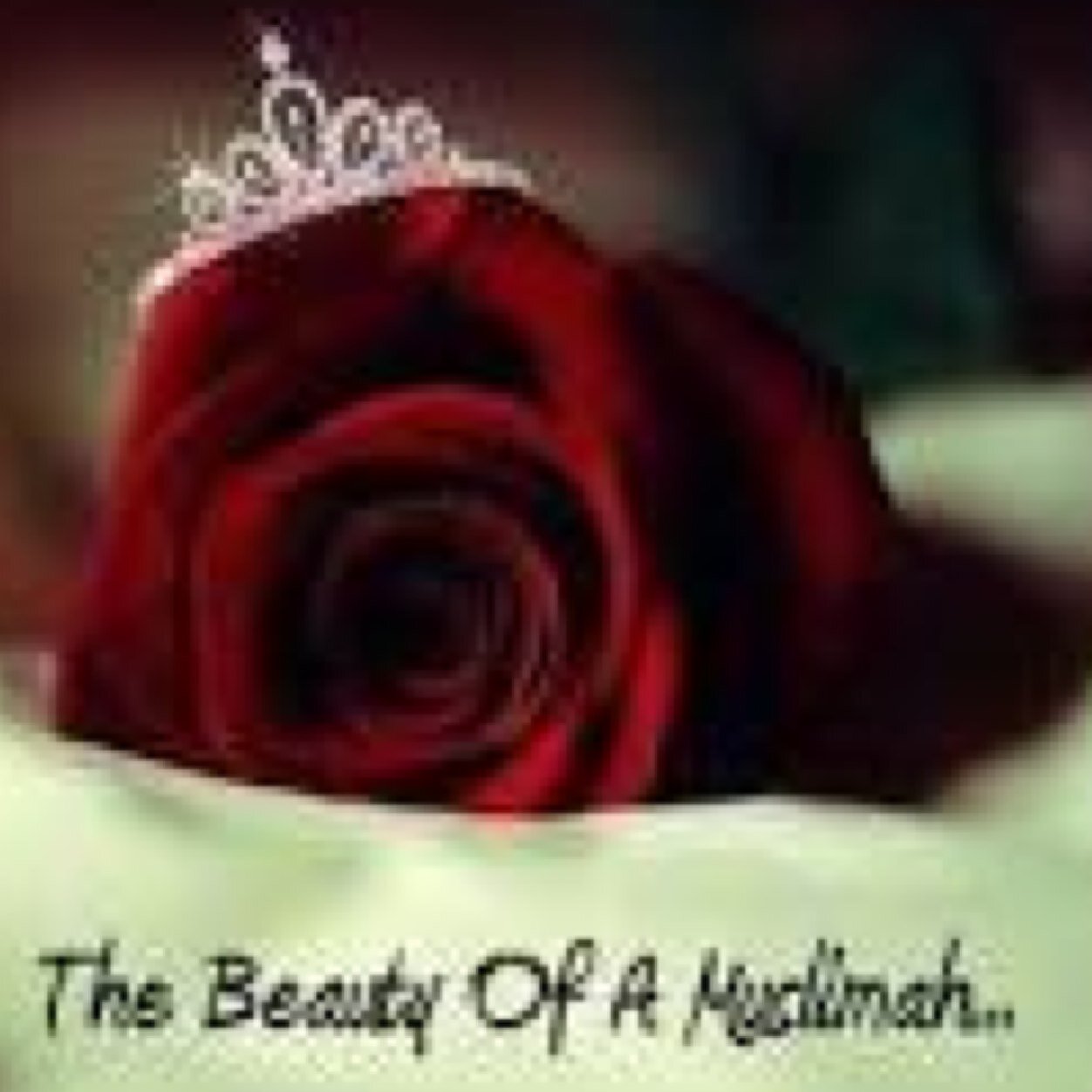 MuslimahQnA's profile picture. A Student in Islamic studies.