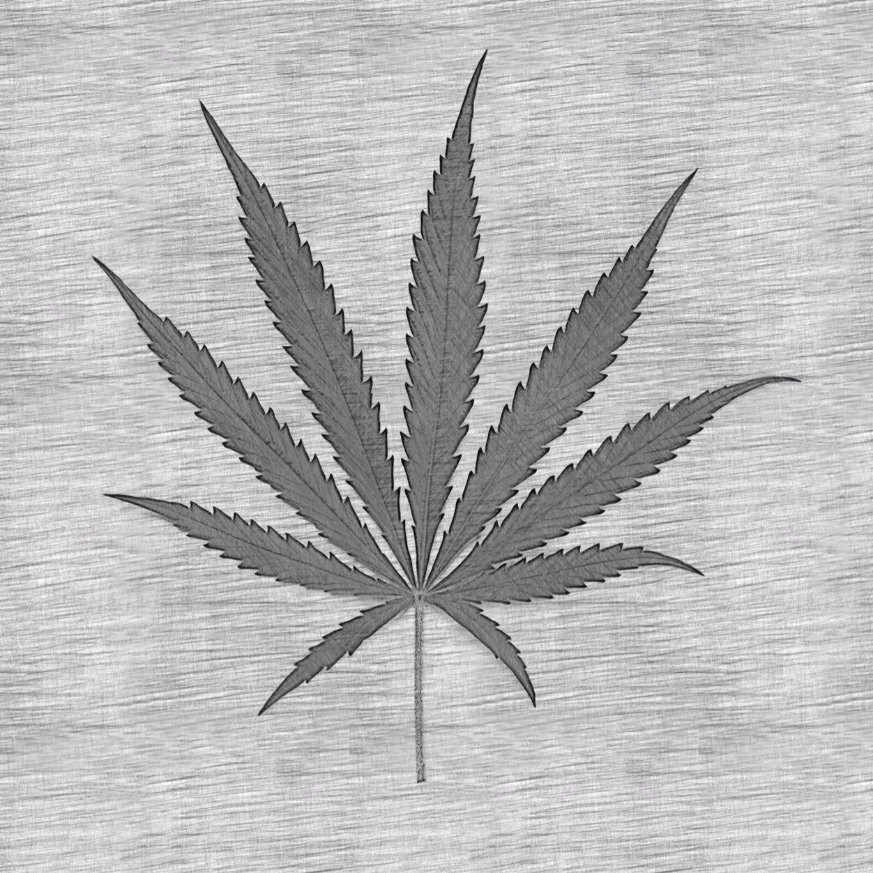 Ocgreenhouse's profile picture. 