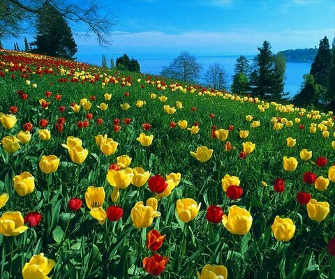 kimyefan's profile picture. 