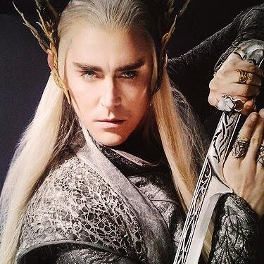 CrownedElf's profile picture. King of the Woodland Realm.