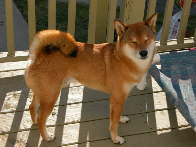 jmcalvo1960's profile picture. 