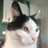 bathcatleon's profile image