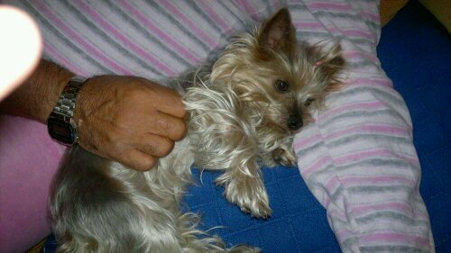 LaaMerien13's profile picture. Mi plan no era enamorarme,pero me sonreíste y lo arruinaste. Mas vale solita qke maal acompañadiita  jeje;)