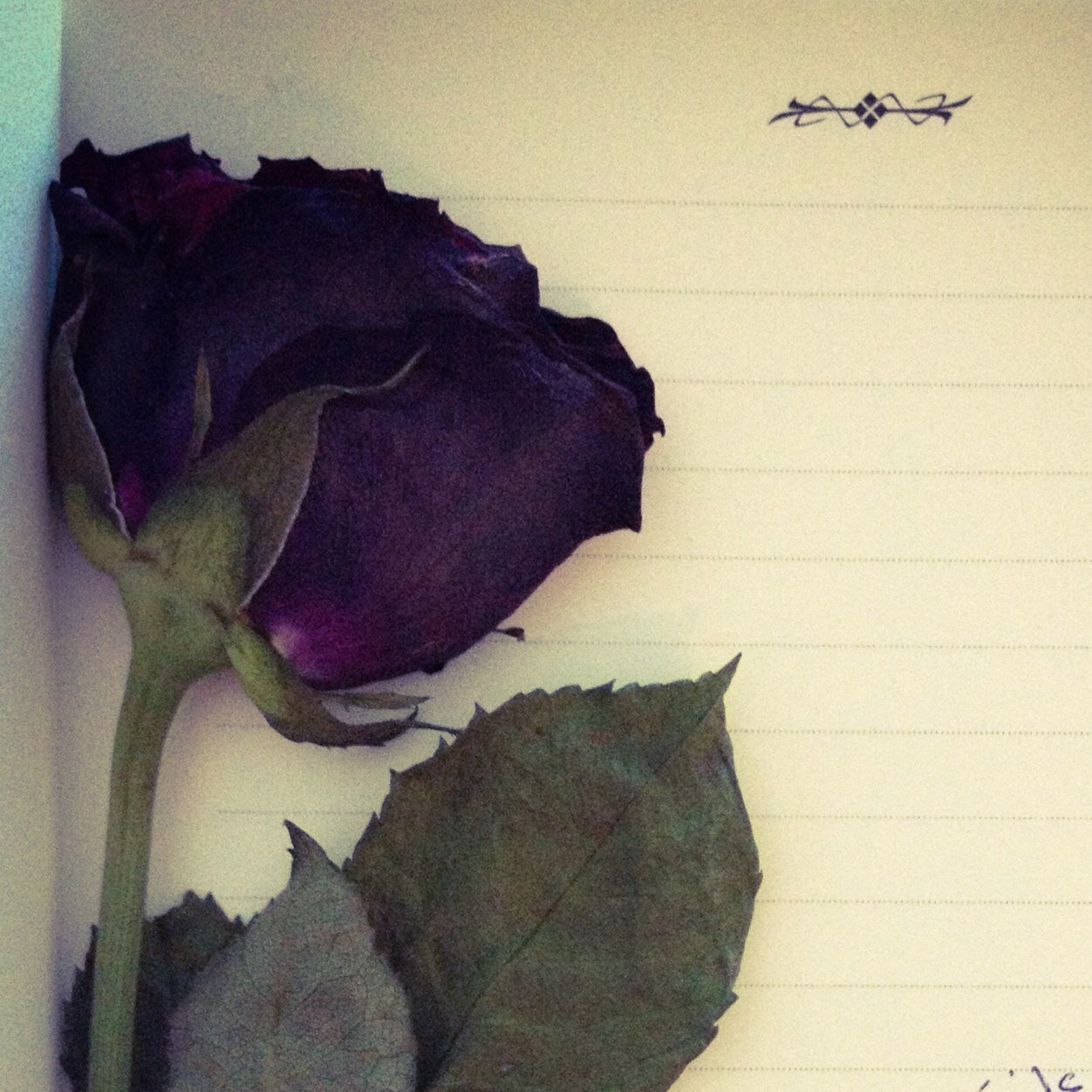 JeSuisLamis's profile picture. Lamis AbuSaleh, a twenty-something girl chasing after her dreams...
Member of @PSU_Inspire Team