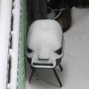 William Nutter - @thesongbird2695 - Twitter