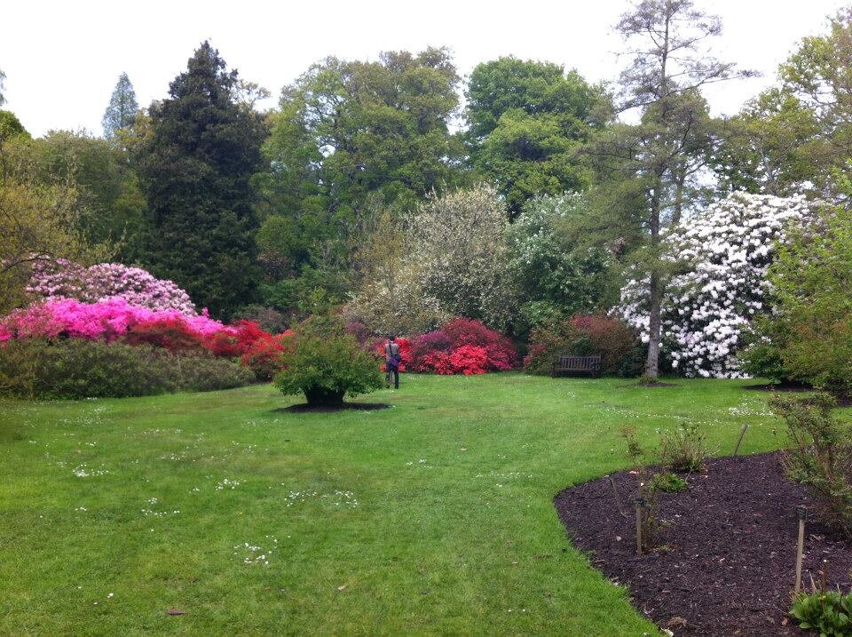 Complete Garden Services.
Competitive Pricing. Outstanding results