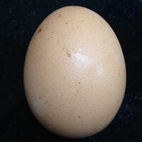 Steve Druggan (@sdruggan) 's Twitter Profile