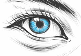 Freelance Graphic Design and Ilustrator