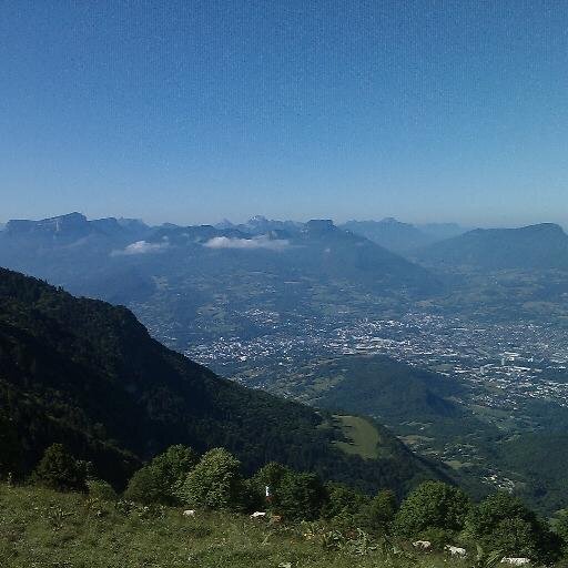 Na_Hers's profile picture. #cooking #home #gardening #tea #cappuccino