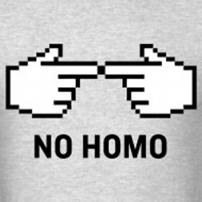 No Homo (@NoHomoMeme) | Twitter